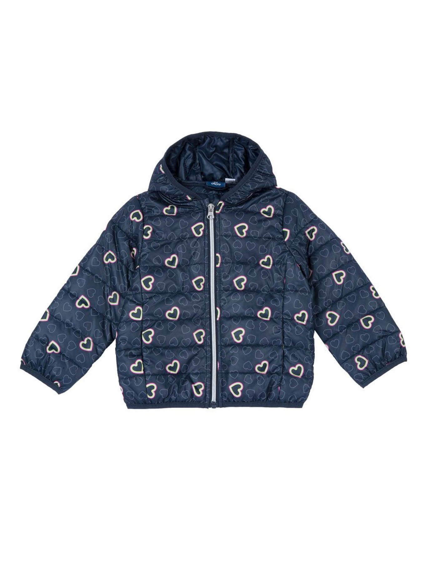 Демисезонная куртка Chicco модель 090.87800.080 Фото