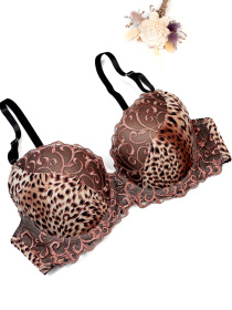 Бюстгальтер ISSA Plus модель BL3-62_мультиколор Фото