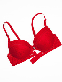 Бюстгальтер ISSA Plus модель BL3-90_красный Фото