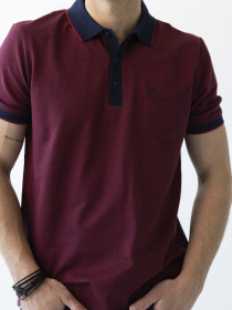 Поло Pierre Cardin модель 2093.4103.21224 Фото