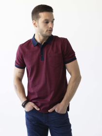 Поло Pierre Cardin модель 2093.4103.21224 Фото