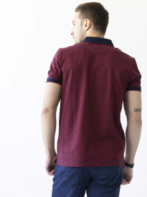 Поло Pierre Cardin модель 2093.4103.21224 Поло Pierre Cardin модель 2093.4103.21224 Фото