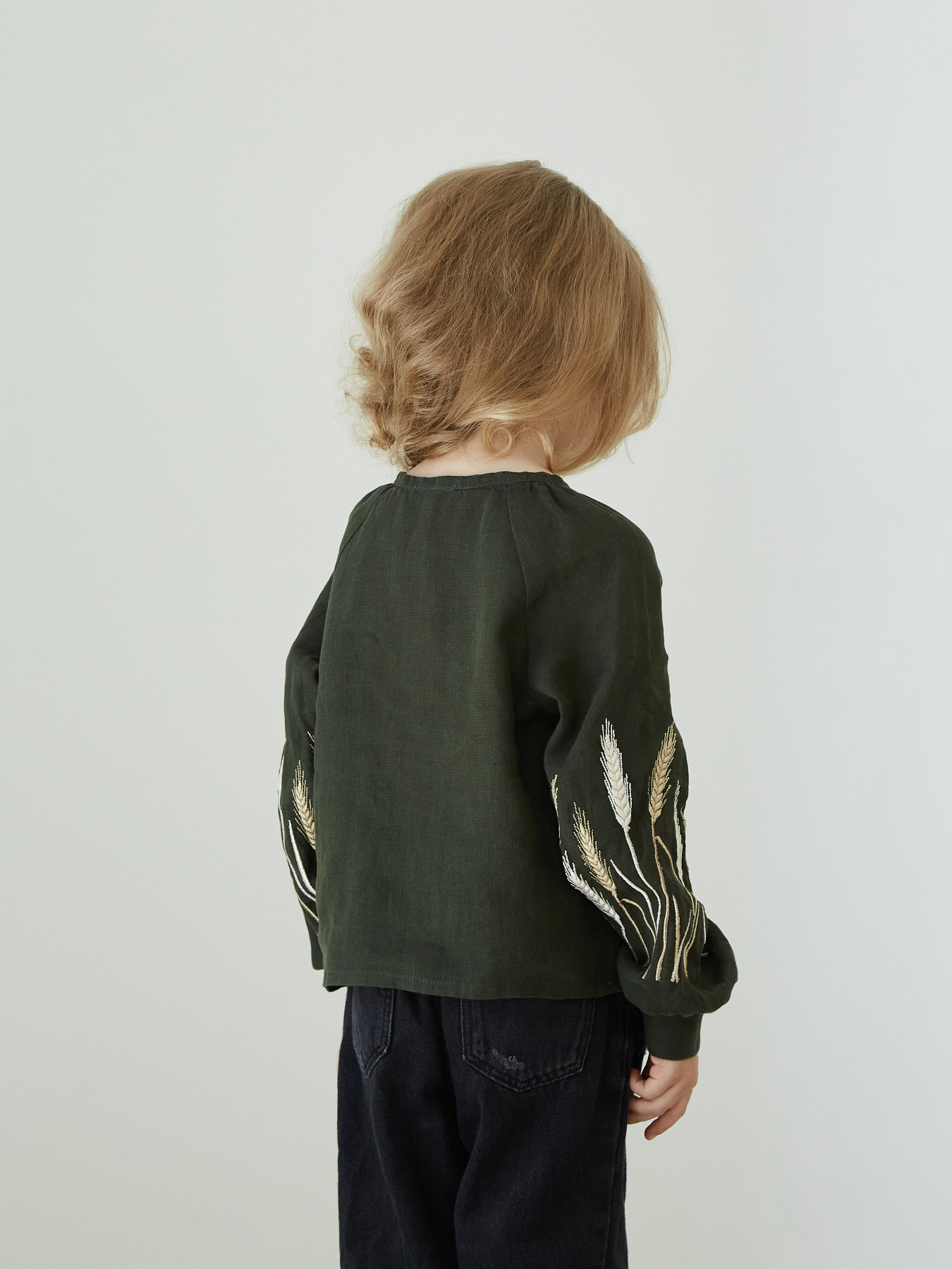 Вишита сорочка Едельвіка модель 94-24-00 Фото