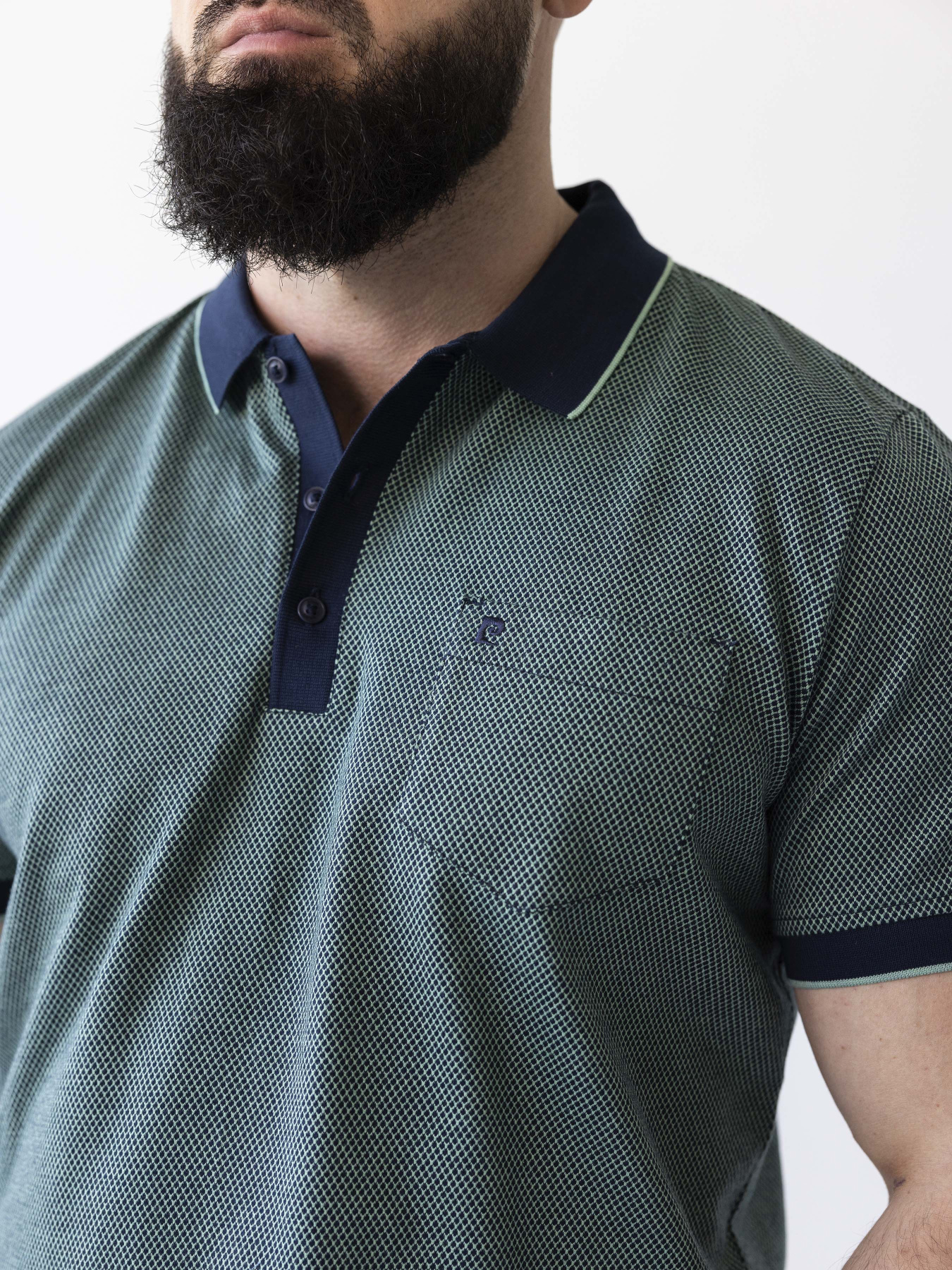 Поло Pierre Cardin модель 2093.5024.21224 Фото