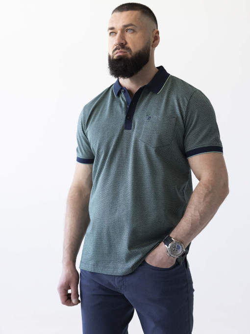 Поло Pierre Cardin модель 2093.5024.21224 Фото