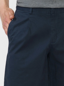 Повседневные шорты Arber модель F29.45.09.421 Повседневные шорты Arber модель F29.45.09.421 Фото