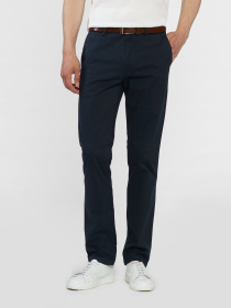 Чиносы Arber модель M01.40.09.411 Фото