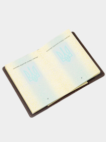 Обложка для документов Shvigel модель bag24_13954 Фото