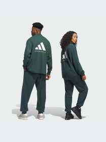 Штани спортивні Adidas модель IT2475 Фото