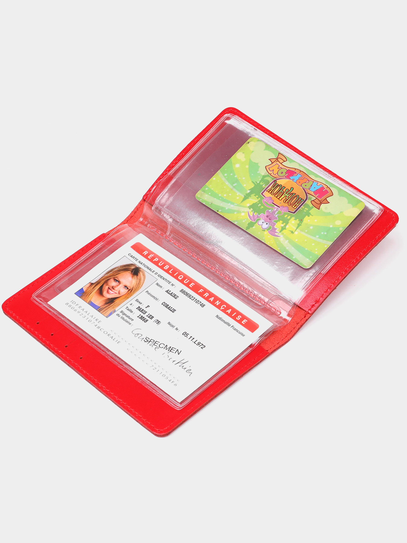 Обложка для документов Shvigel модель bag24_13984 Фото