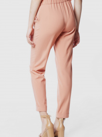 Повсякденні штани Arber модель ANW01.02.16 Фото