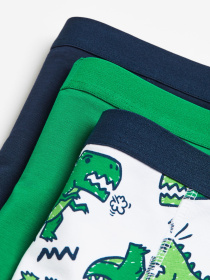 Набор трусов H&M модель 73050 Фото