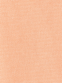 Блуза Arber модель ANW24.05.16 Фото