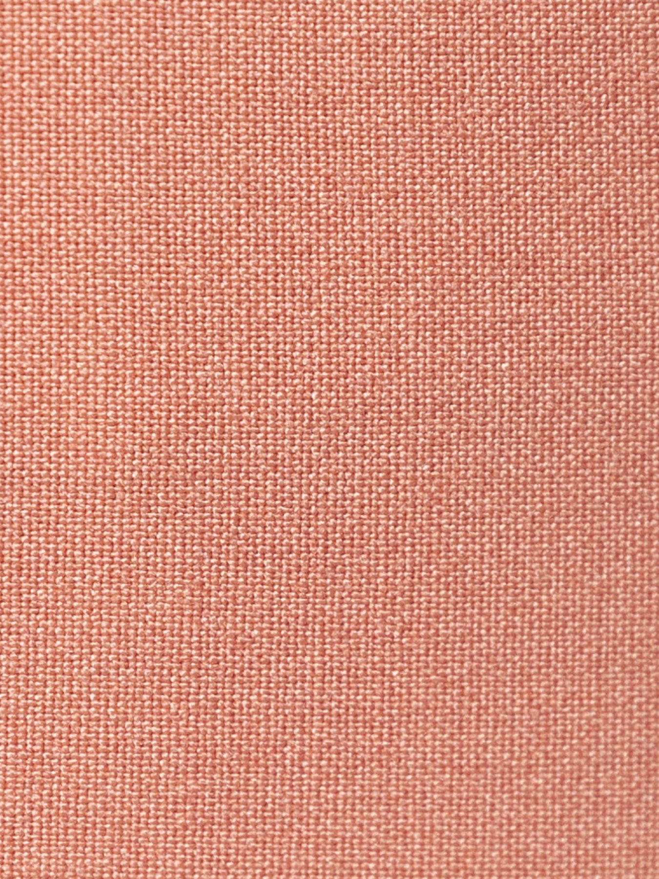 Повсякденні шорти Arber модель ANW28.02.16 Повсякденні шорти Arber модель ANW28.02.16 Фото