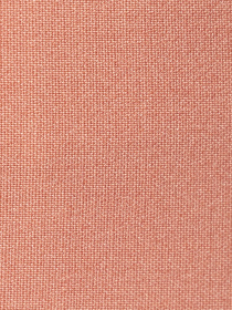 Повсякденні шорти Arber модель ANW28.02.16 Повсякденні шорти Arber модель ANW28.02.16 Фото