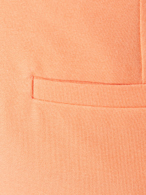 Повсякденні шорти Arber модель ANW28.02.37 Фото