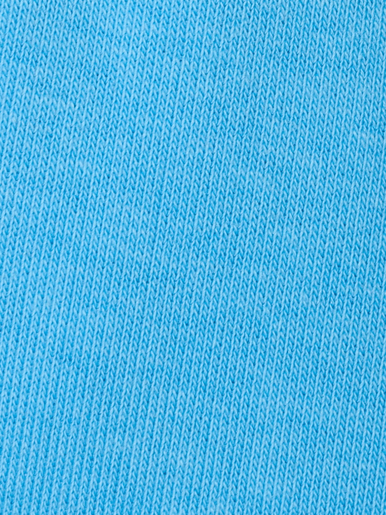 Шорты Arber модель ANW28.10.23 Фото