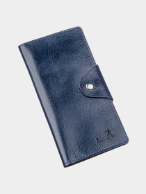 Кошелек Shvigel модель bag24_16170 Фото