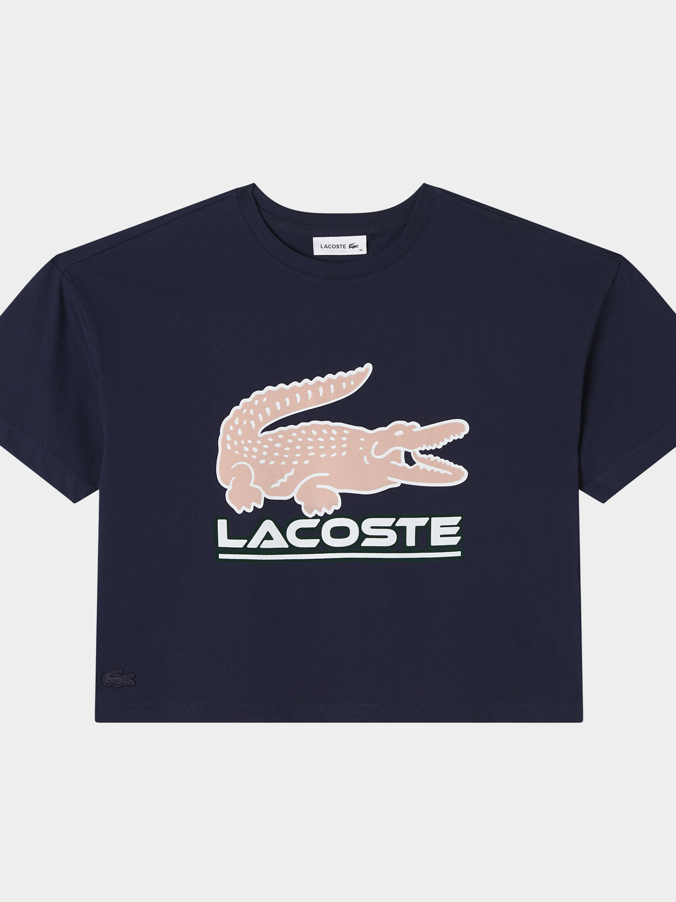 Футболка Lacoste модель TF240404L Фото