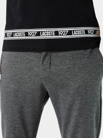 Футболка Lacoste модель TH024646S Футболка Lacoste модель TH024646S Фото