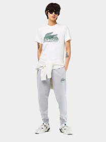 Футболка Lacoste модель TH5070001 Фото