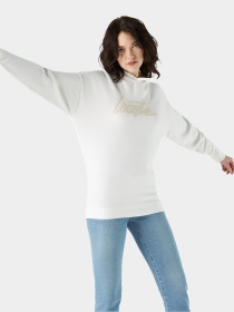 Худи Lacoste модель AF021212B Фото