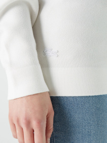 Худи Lacoste модель AF021212B Худи Lacoste модель AF021212B Фото