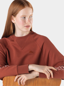 Свитшот Lacoste модель SF222323T Свитшот Lacoste модель SF222323T Фото