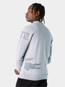 Світшот Lacoste модель SH022222G Світшот Lacoste модель SH022222G Фото