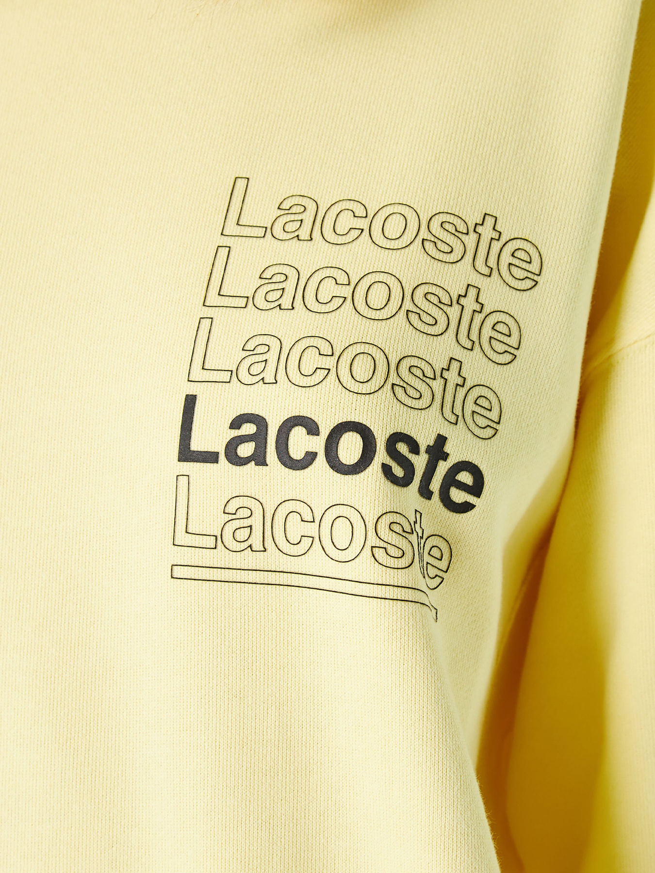Світшот Lacoste модель SH7294107 Фото