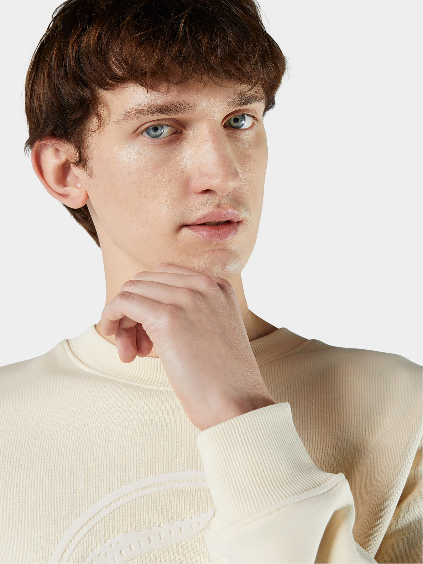 Світшот Lacoste модель SH7582056 Фото