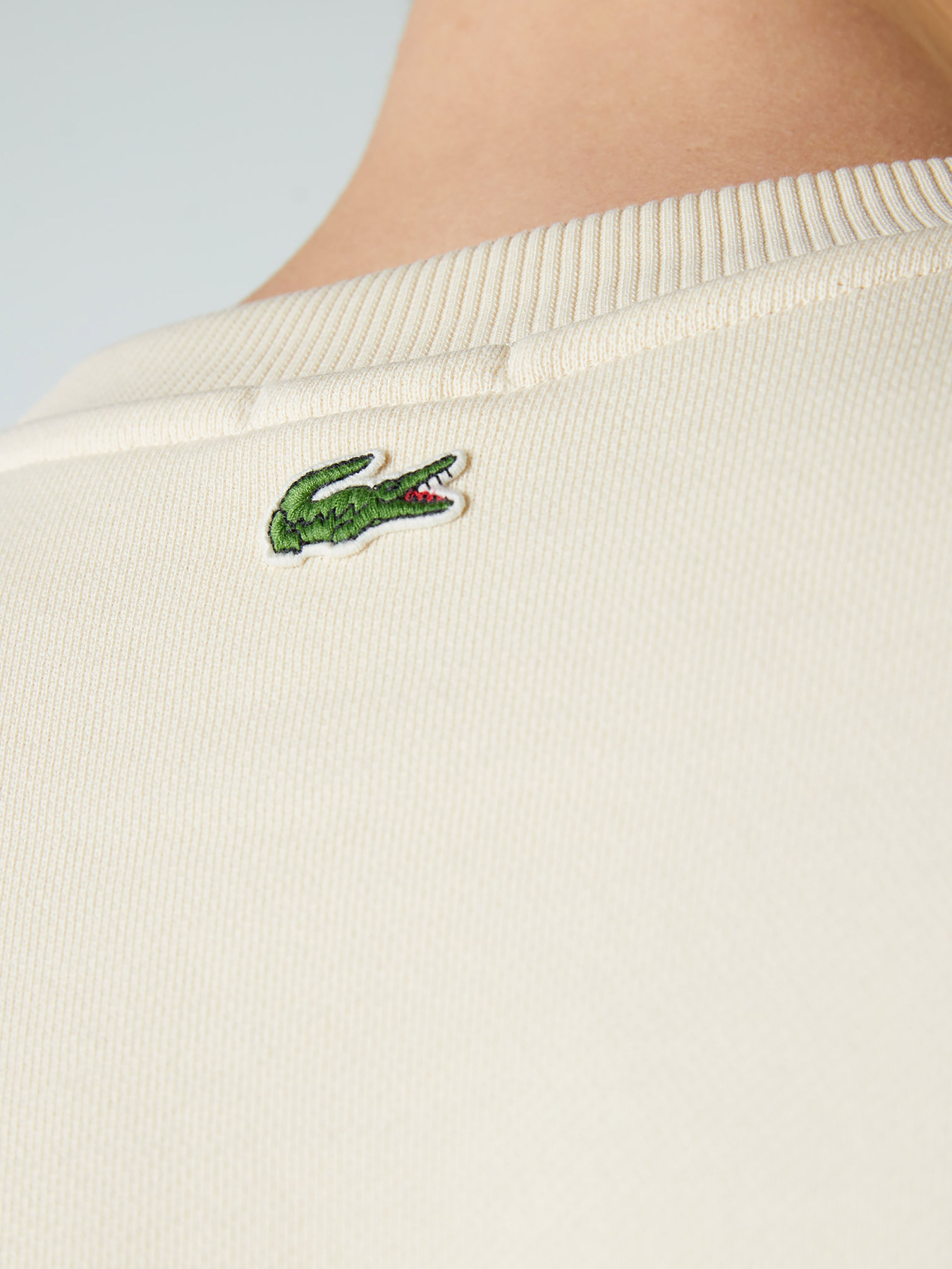 Свитшот Lacoste модель SH7582056 Фото