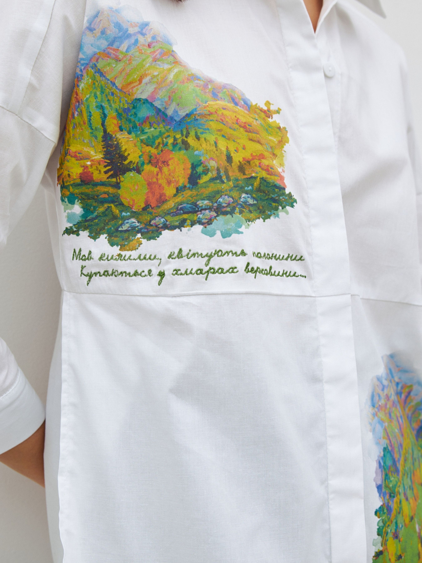 Рубашка RicaMare модель RM4184-10-24DB Фото