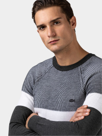 Джемпер Lacoste модель AH215656G Джемпер Lacoste модель AH215656G Фото