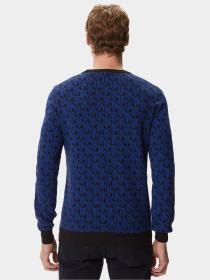 Джемпер Lacoste модель AH241313S Джемпер Lacoste модель AH241313S Фото