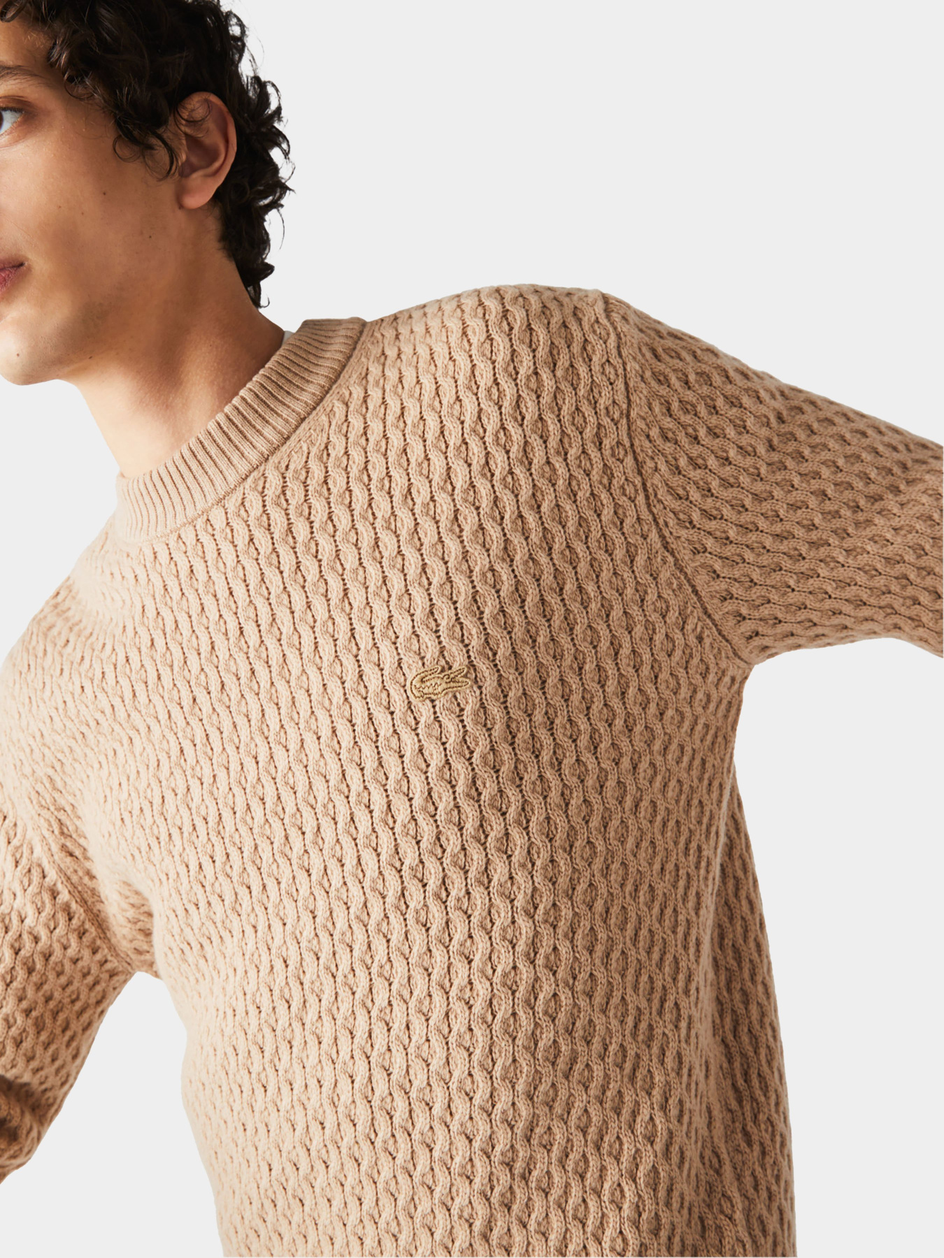 Джемпер Lacoste модель AH6799GE2 Джемпер Lacoste модель AH6799GE2 Фото