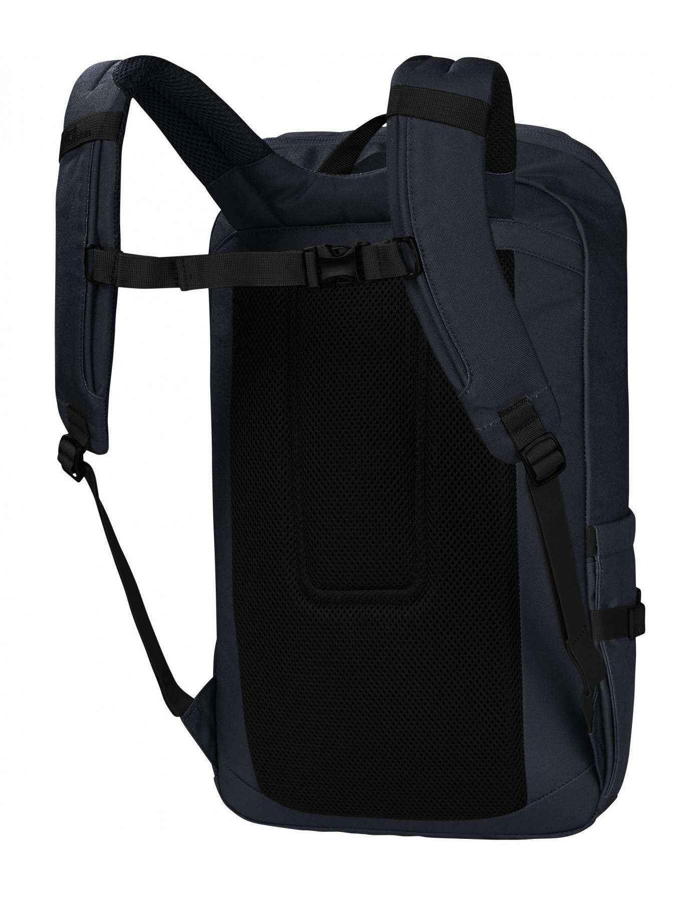 Рюкзак Jack Wolfskin Dachsberg модель 2020301_1010 Фото