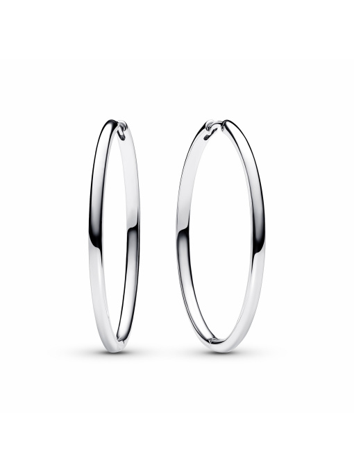 Сережки для шармів PANDORA модель 293336C00 Фото