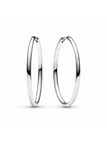 Сережки для шармів PANDORA модель 293336C00 Фото