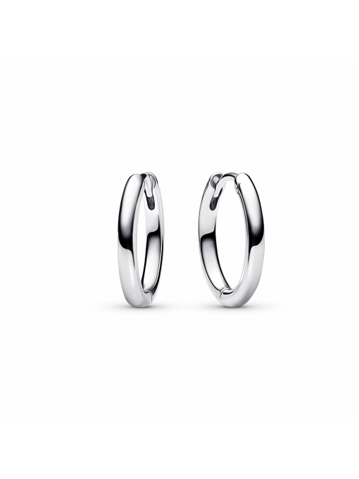 Сережки для шармів PANDORA модель 293355C00 Фото