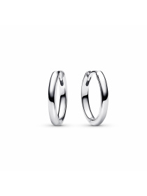 Сережки для шармів PANDORA модель 293355C00 Фото