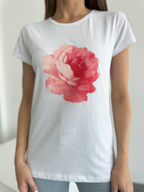 Футболка ISSA Plus модель WN20-629_белый Фото