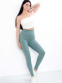 Леггинсы Носи своє модель 3382-133-temnij-polin Фото