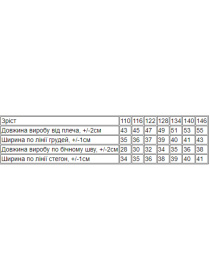 Повсякденний костюм Носи своє модель 6431-036-33-dzheralxdn Фото