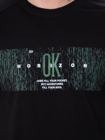 Футболка Носи своє модель 8010-001-33-2-chornij-ok Фото