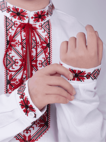 Вышитая рубашка Едельвіка модель 266-23-09 Фото