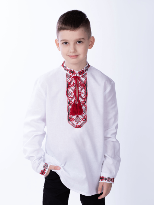 Вышитая рубашка Едельвіка модель 266-23-09 Фото