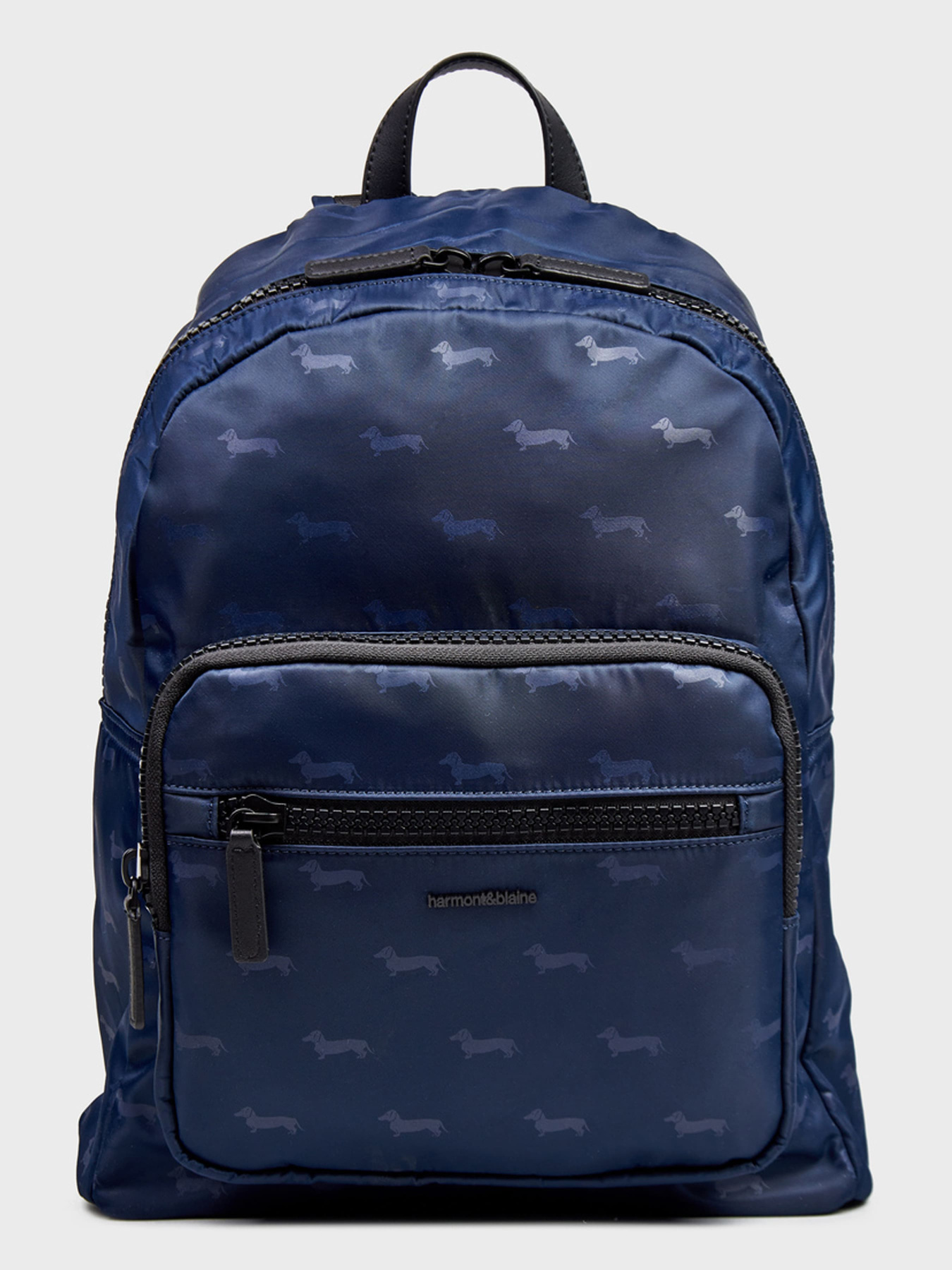 Повседневный рюкзак Harmont&Blaine модель H2EPMH780045082 Фото
