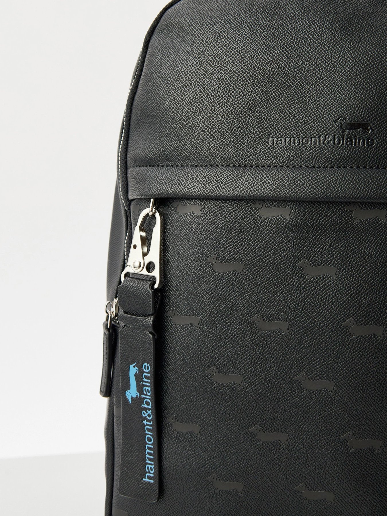 Повсякденний рюкзак Harmont&Blaine модель H1EPMH760045999 Фото