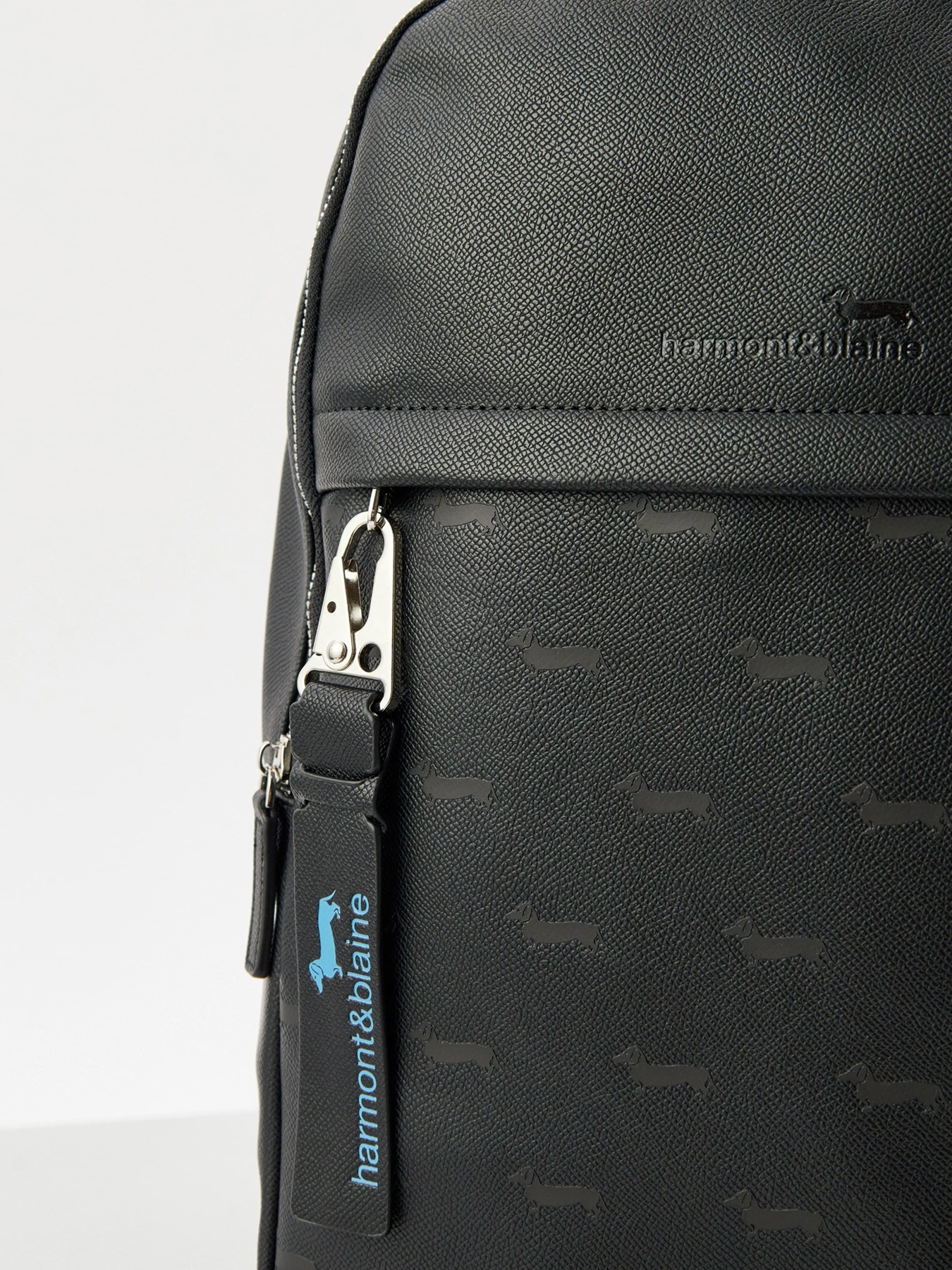 Повсякденний рюкзак Harmont&Blaine модель H1EPMH760045999 Фото